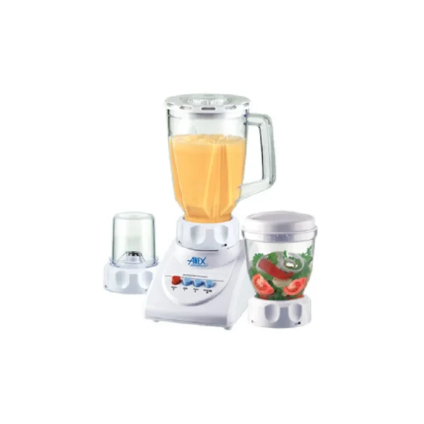 Anex 695 3 in 1 Chopper Blender Grinder